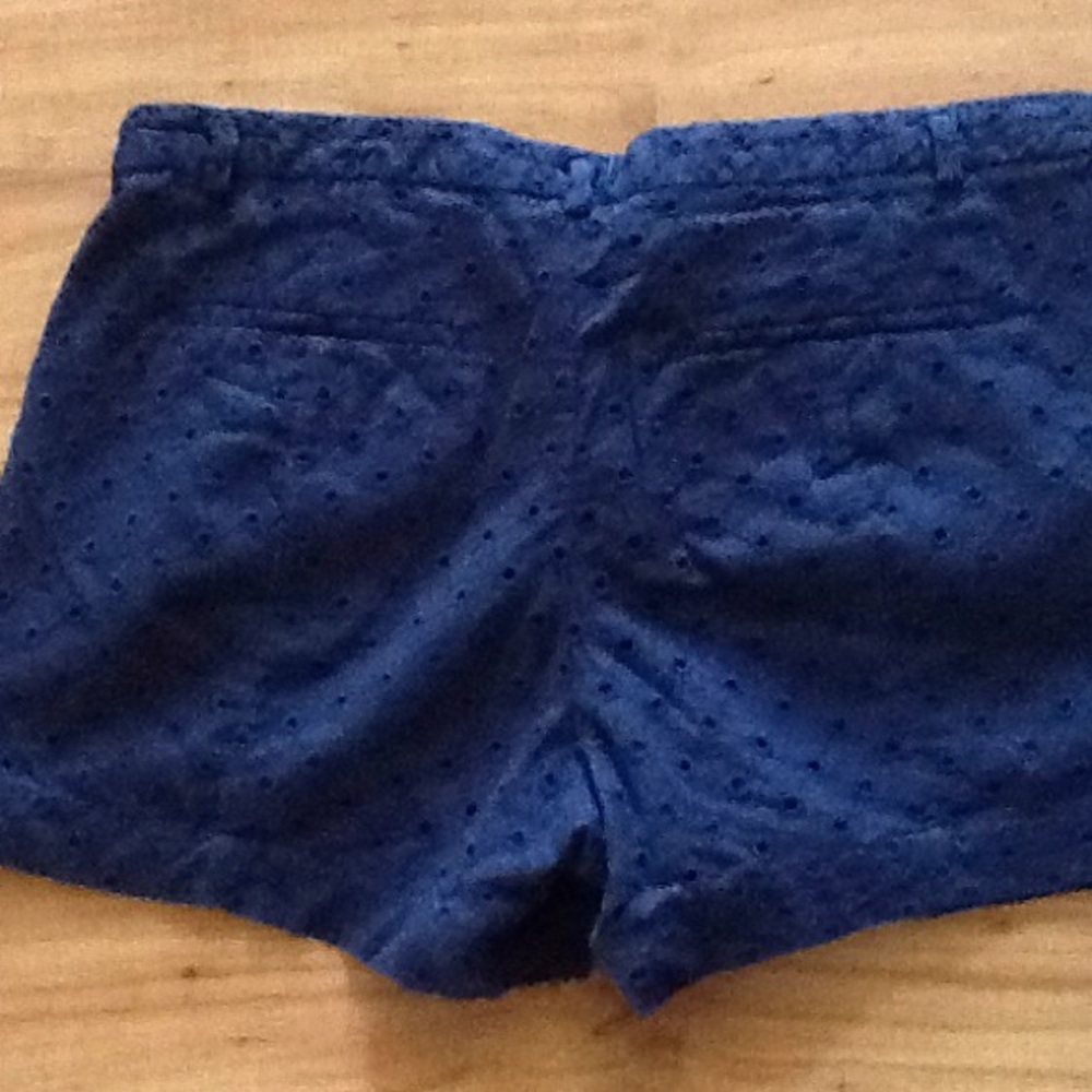 Shorts - Picture 3 of 4